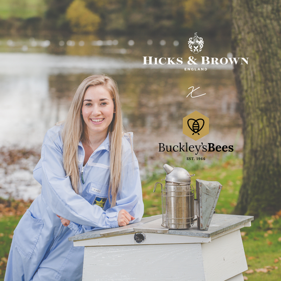 We’re buzzing about our new bee project!