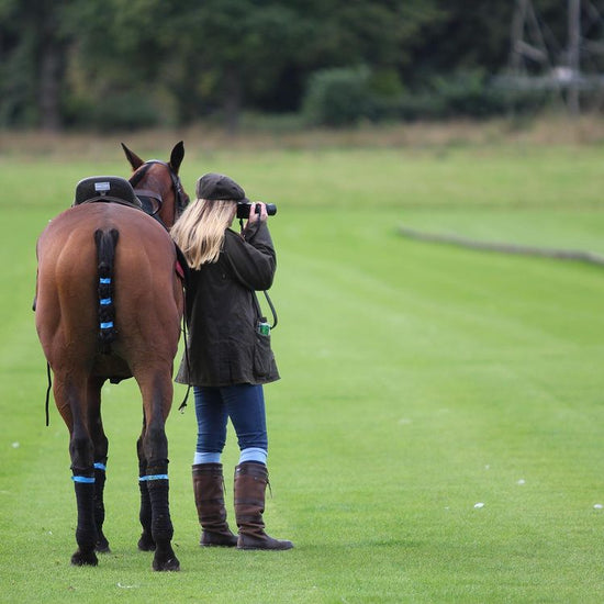 An insight into the Polo world