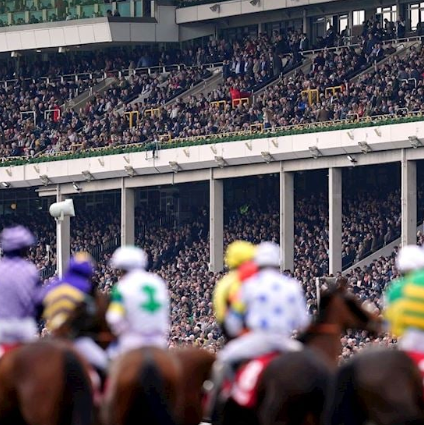 Hicks & Brown Exhibit at Cheltenham Festival